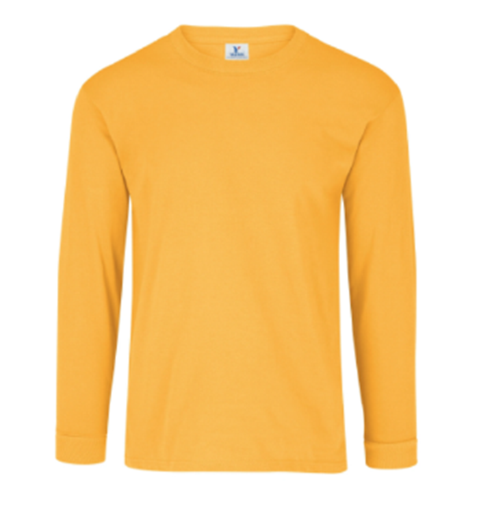 Card image cap img-fluid